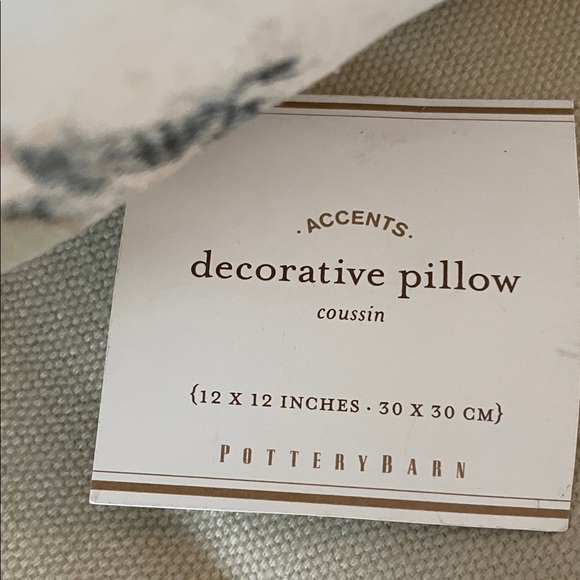 Pottery Barn Petite Accent Pillow - Picture 2 of 3